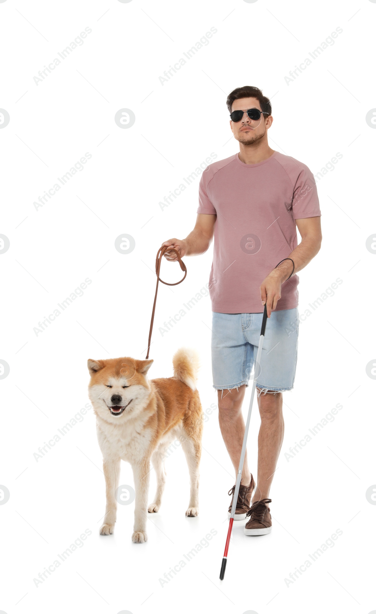 Photo of Blind man with walking stick and dog on leash against white background