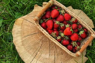 Photo of Basket with ripe strawberries on tree stump outdoors, top view