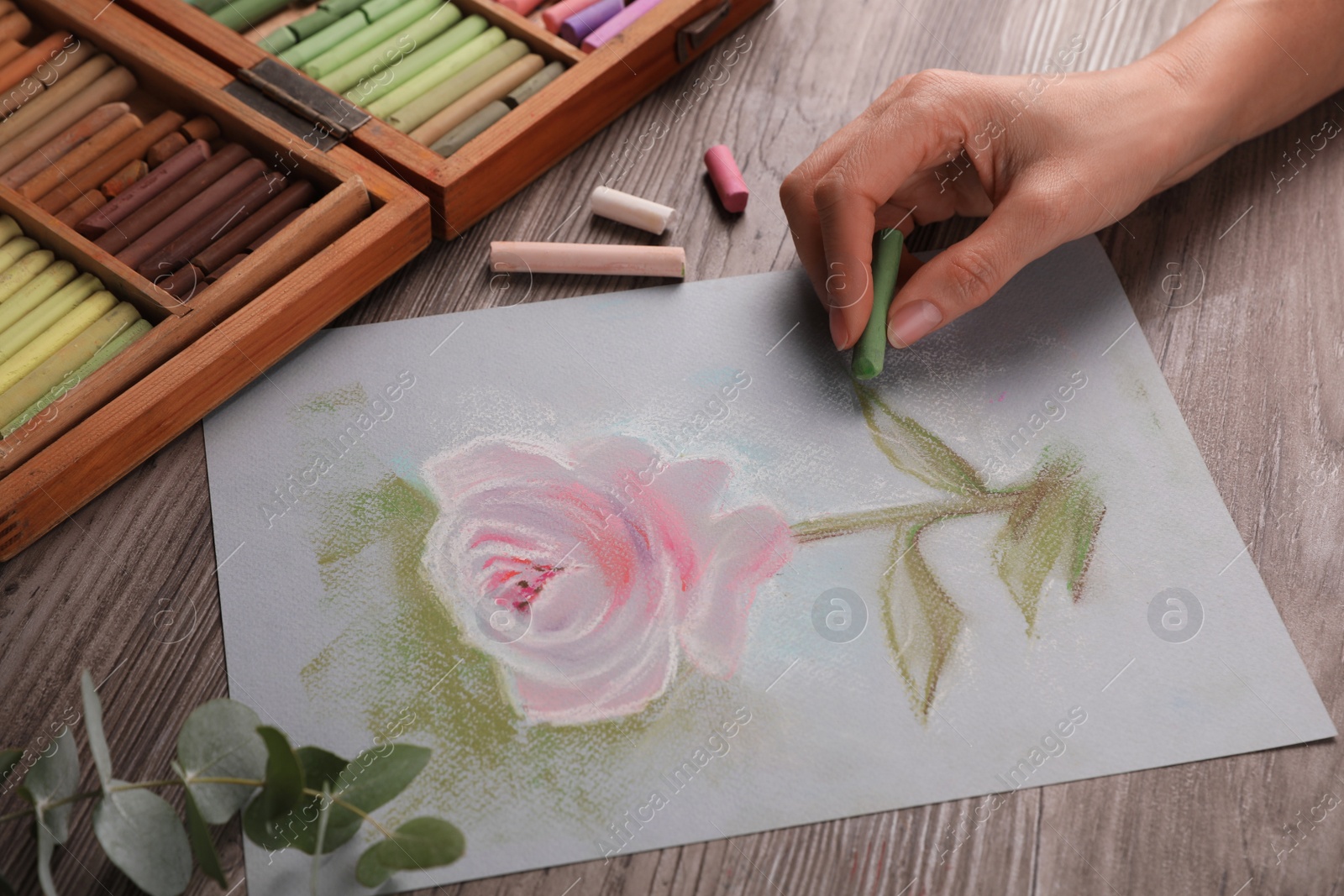 Photo of Woman drawing beautiful pink rose with soft pastel at wooden table, closeup