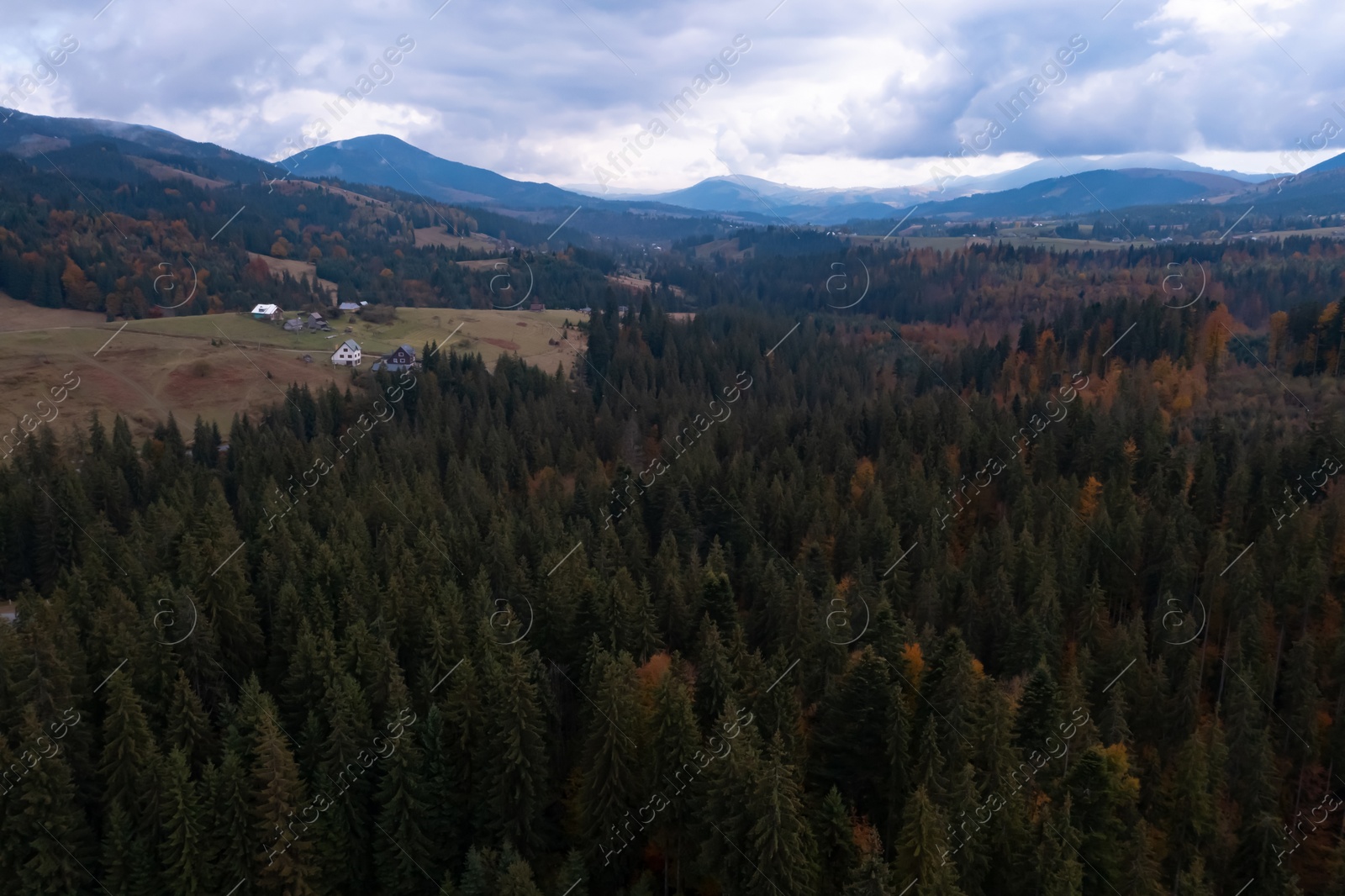 Image of Aerial view of beautiful forest in mountains on autumn day