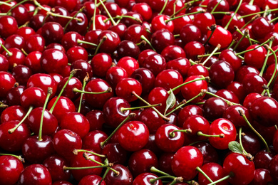 Photo of Sweet red cherries as background, closeup view