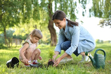 Mother and her daughter planting tree together in garden