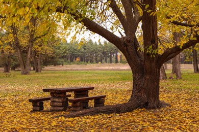 Photo of Empty wooden table with benches in autumn forest