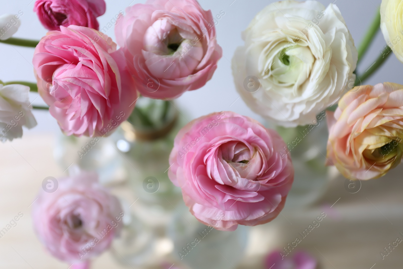 Photo of Beautiful fresh ranunculus flowers on table, closeup view