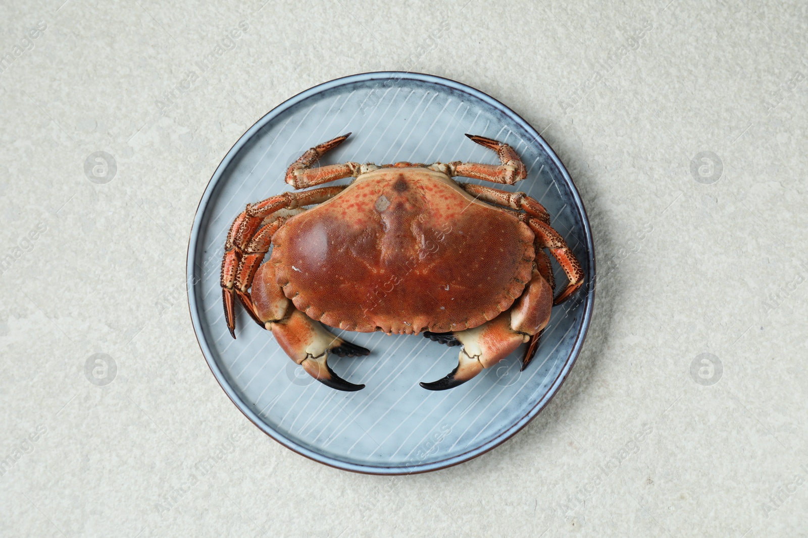 Photo of Delicious boiled crab on white textured table, top view