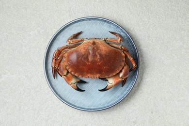 Photo of Delicious boiled crab on white textured table, top view