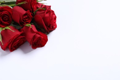 Photo of Beautiful red roses on white background, space for text