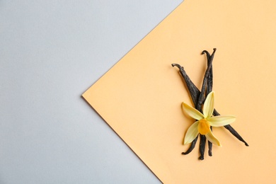 Photo of Flat lay composition with vanilla sticks and flower on color background. Space for text