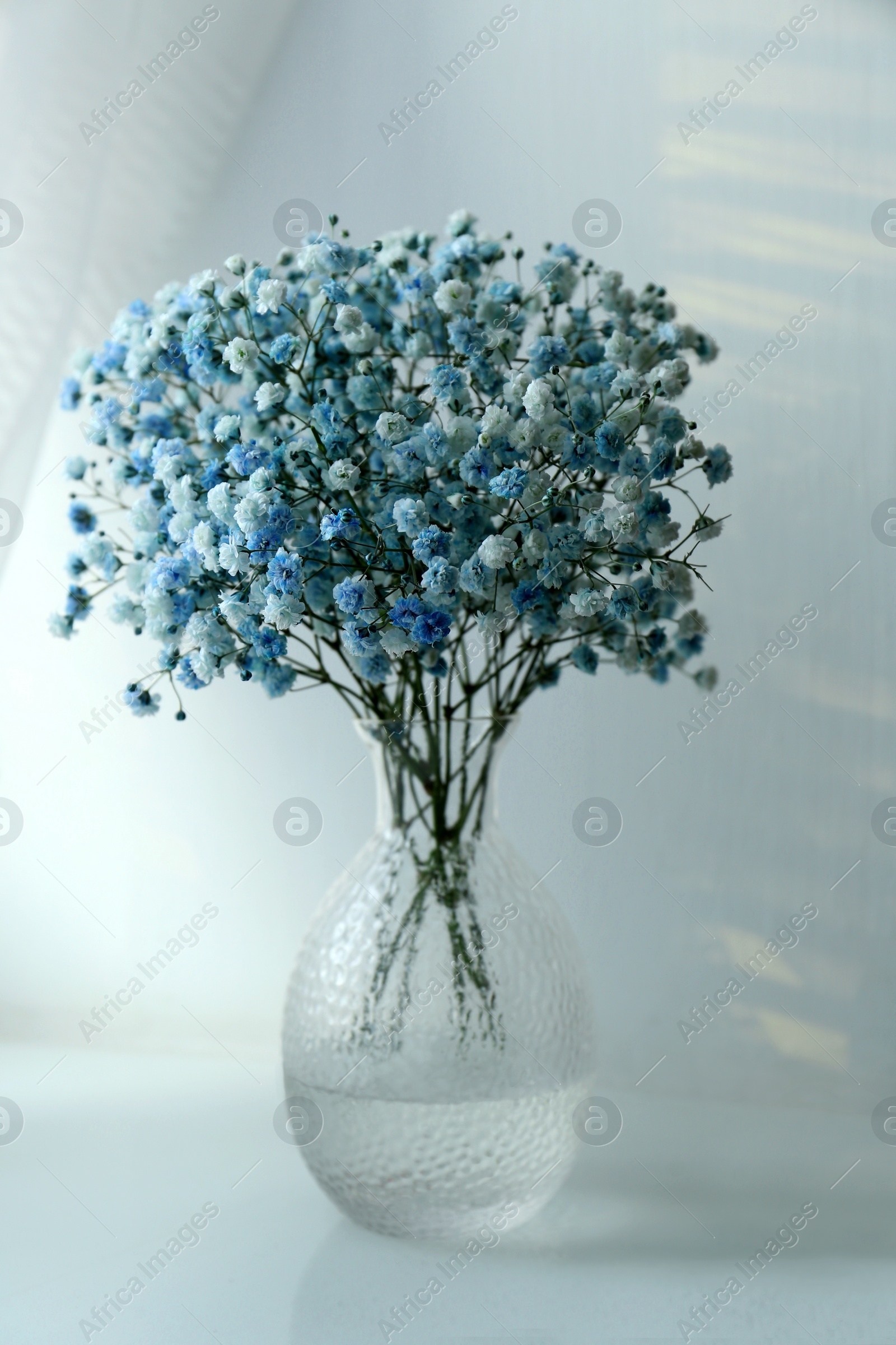 Photo of Beautiful dyed gypsophila flowers in glass vase on white table