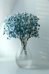 Beautiful dyed gypsophila flowers in glass vase on white table