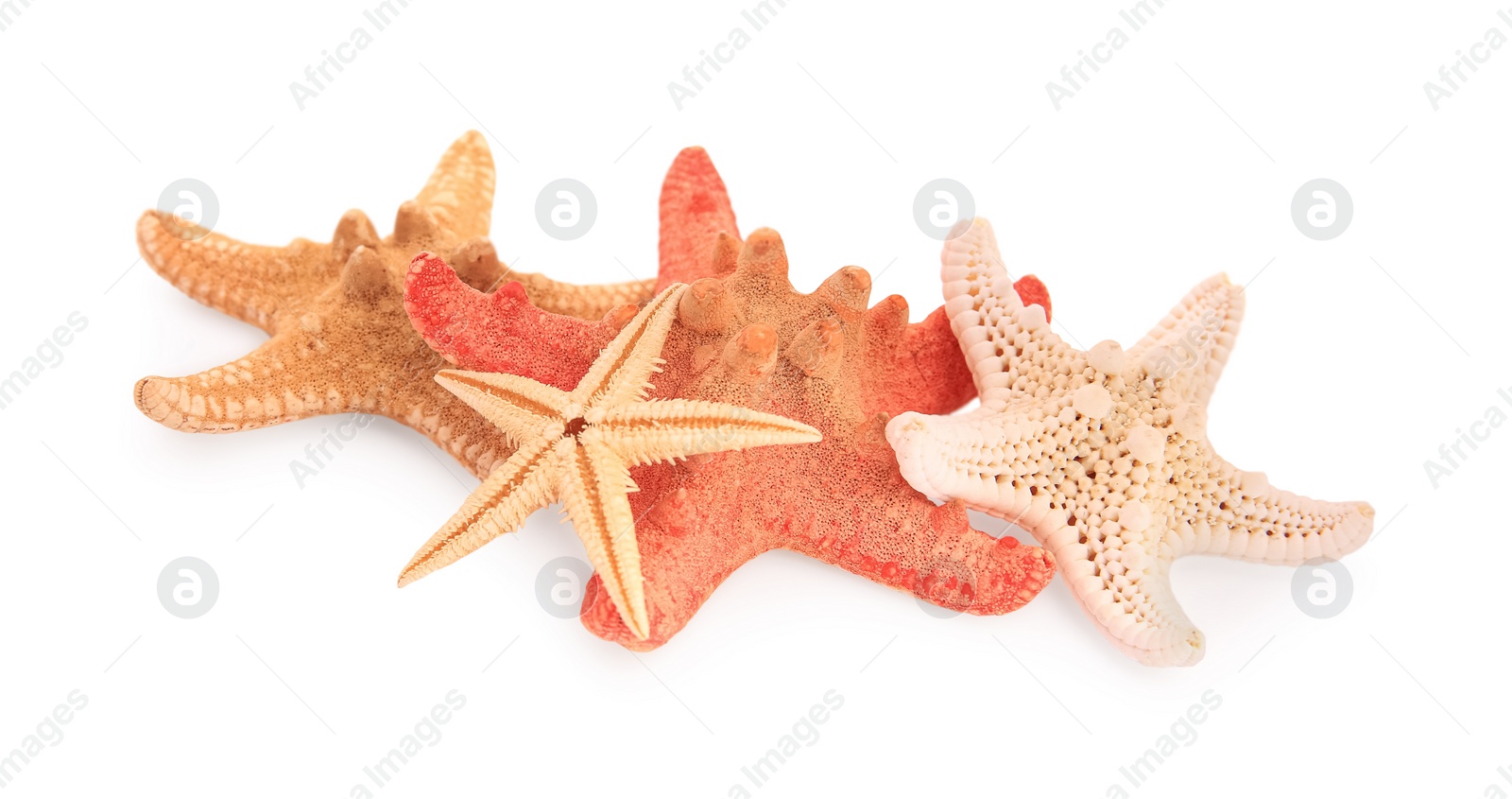 Photo of Many beautiful sea stars (starfishes) isolated on white