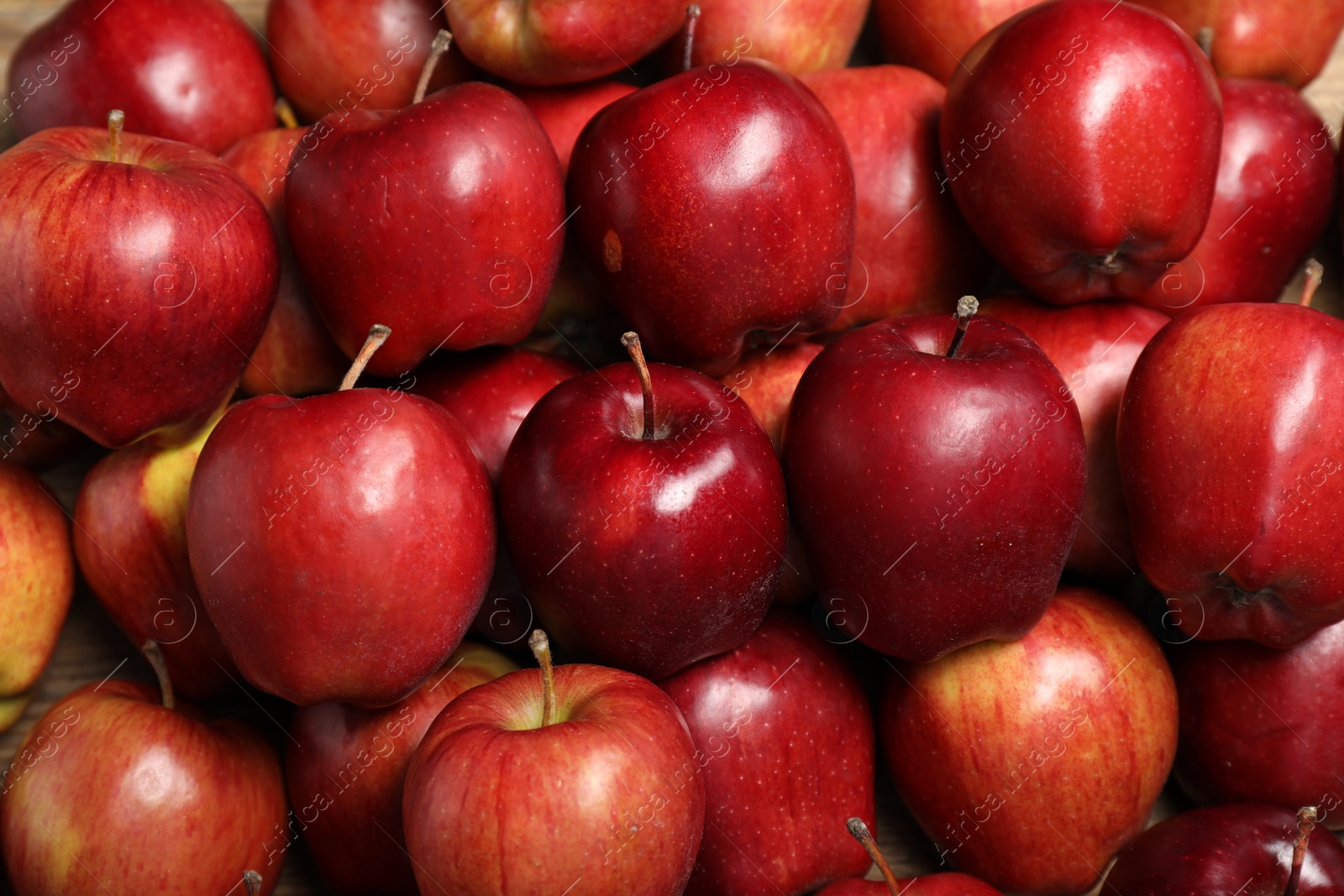 Photo of Fresh ripe red apples as background, top view