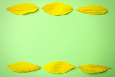 Photo of Fresh yellow sunflower petals on green background, flat lay. Space for text