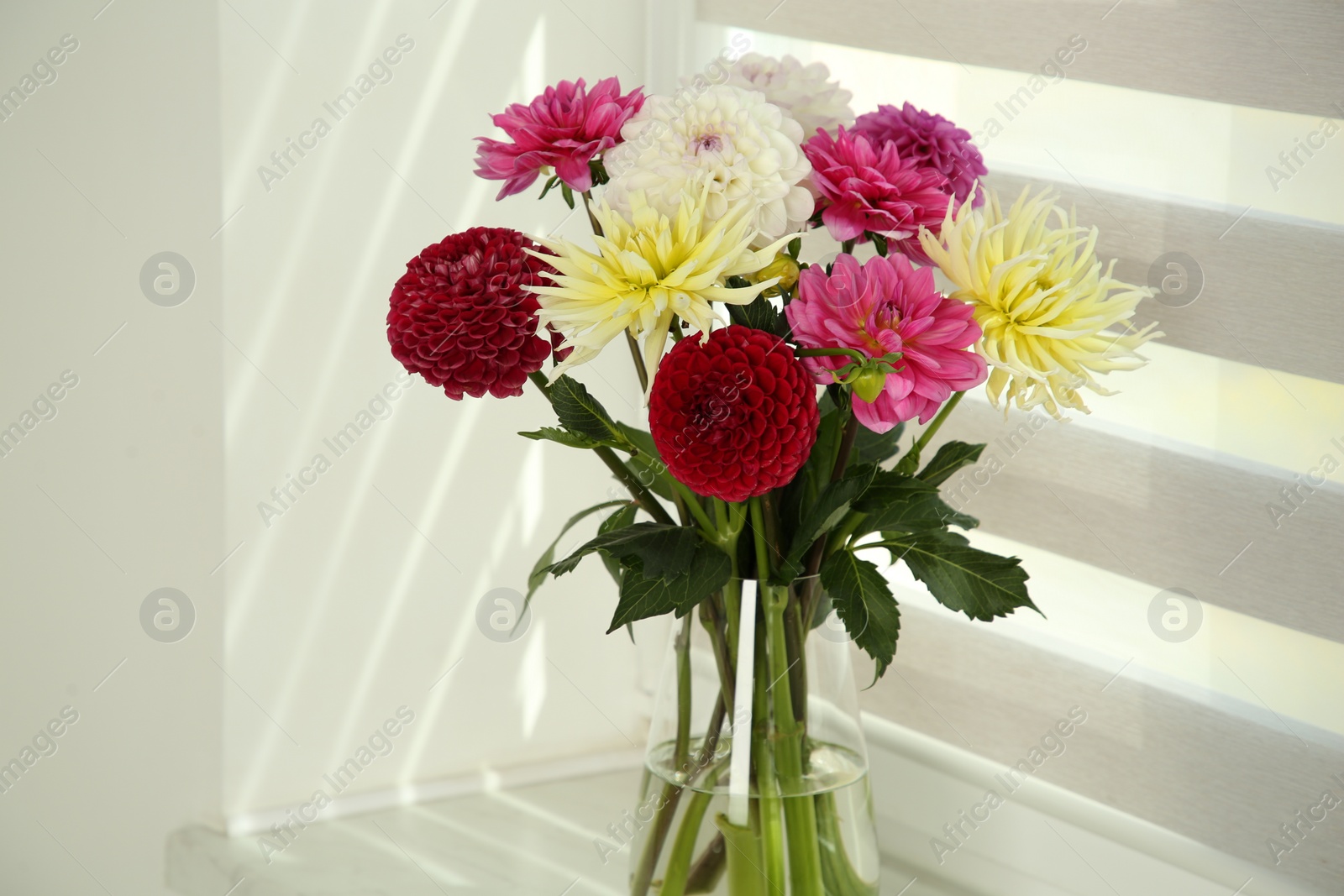 Photo of Bouquet of beautiful Dahlia flowers in vase on windowsill indoors