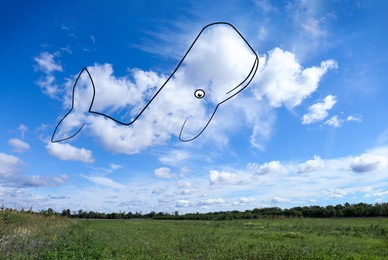 Image of Imagination and creativity. Fluffy cloud in shape of whale with drawn outline in blue sky above field