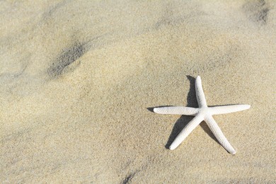 Beautiful starfish on sandy beach, space for text