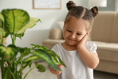 Photo of Little girl playing with houseplant at home