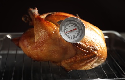 Roasted turkey with meat thermometer on baking rack