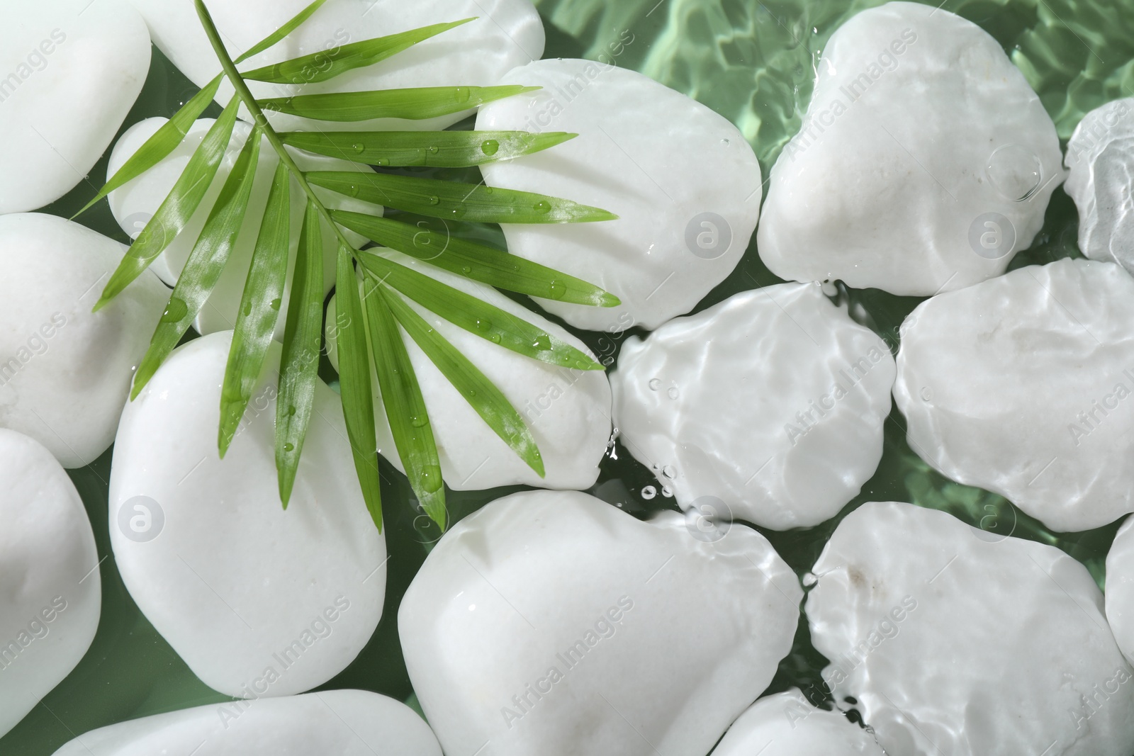 Photo of Spa stones and palm leaf in water on light green background, flat lay