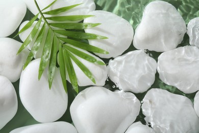 Spa stones and palm leaf in water on light green background, flat lay