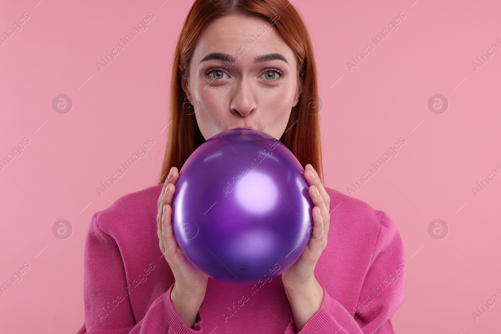 Photo of Woman inflating purple balloon on pink background