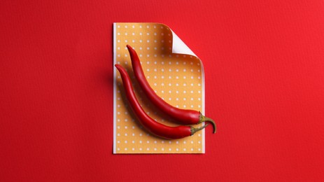 Pepper plasters and chili on red background, flat lay