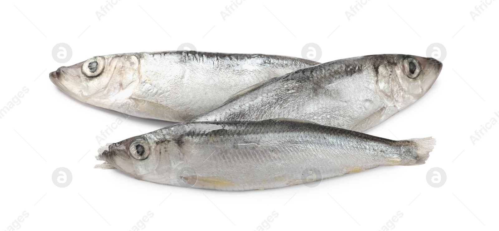 Photo of Fresh raw Baltic sprats isolated on white