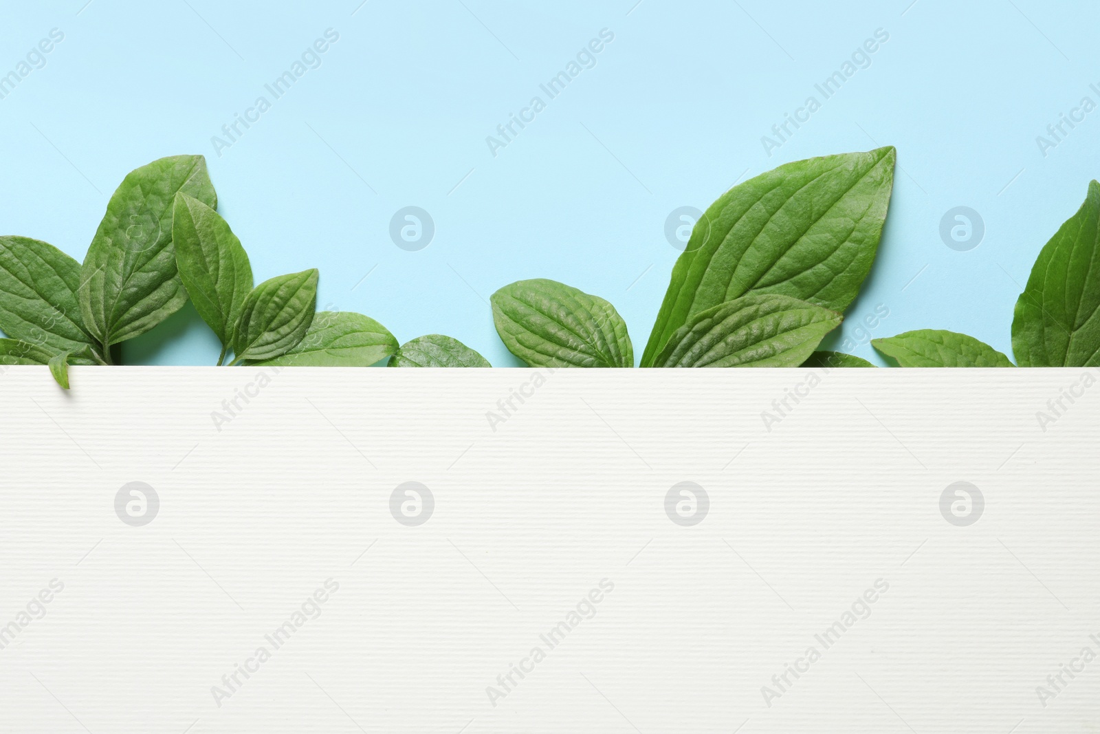 Photo of Blank card and spring green leaves on color background, flat lay. Space for text