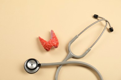 Photo of Endocrinology. Stethoscope and model of thyroid gland on beige background, top view