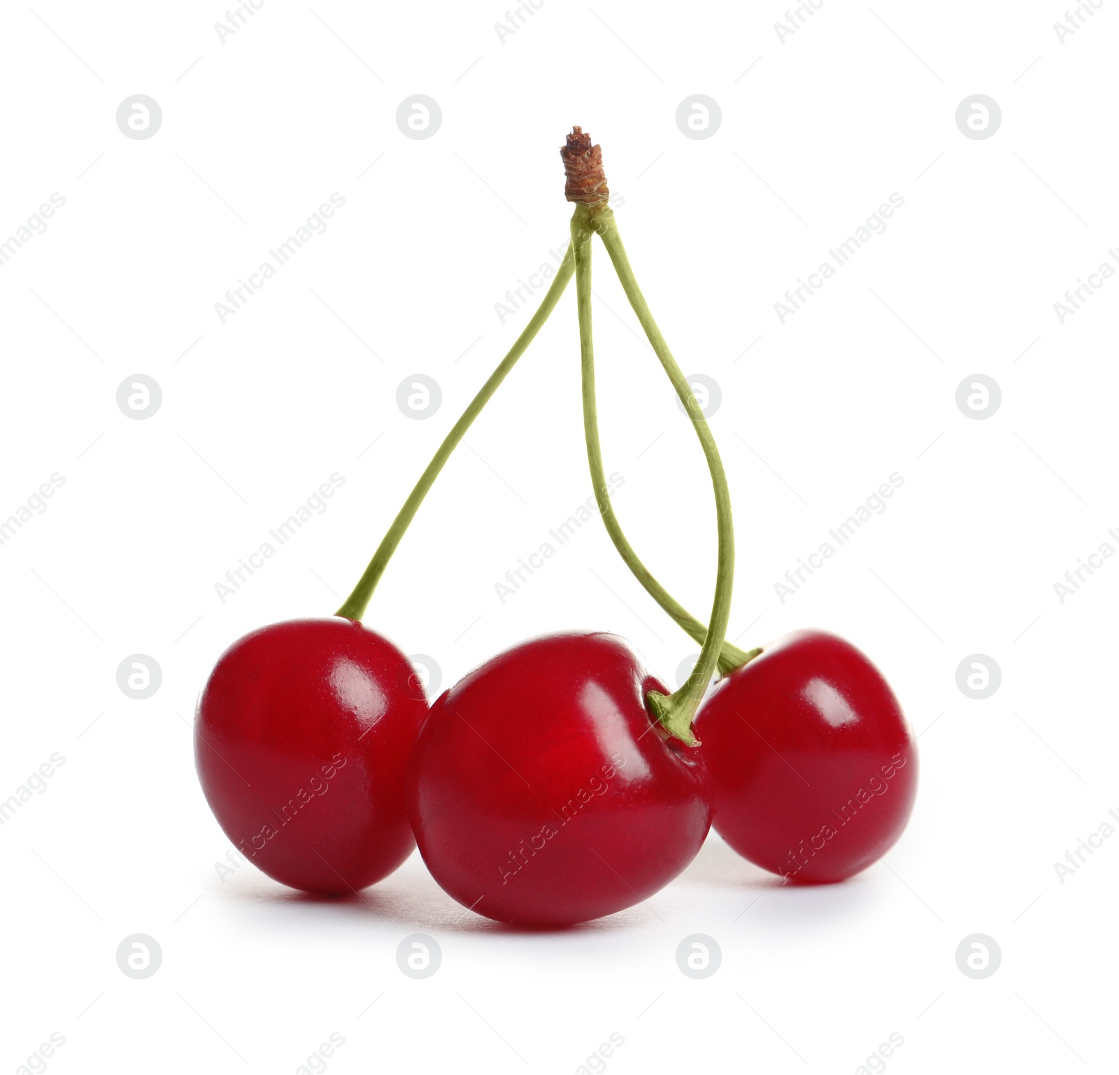 Photo of Delicious ripe sweet cherries on white background