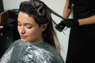 Professional hairdresser dyeing client's hair in beauty salon