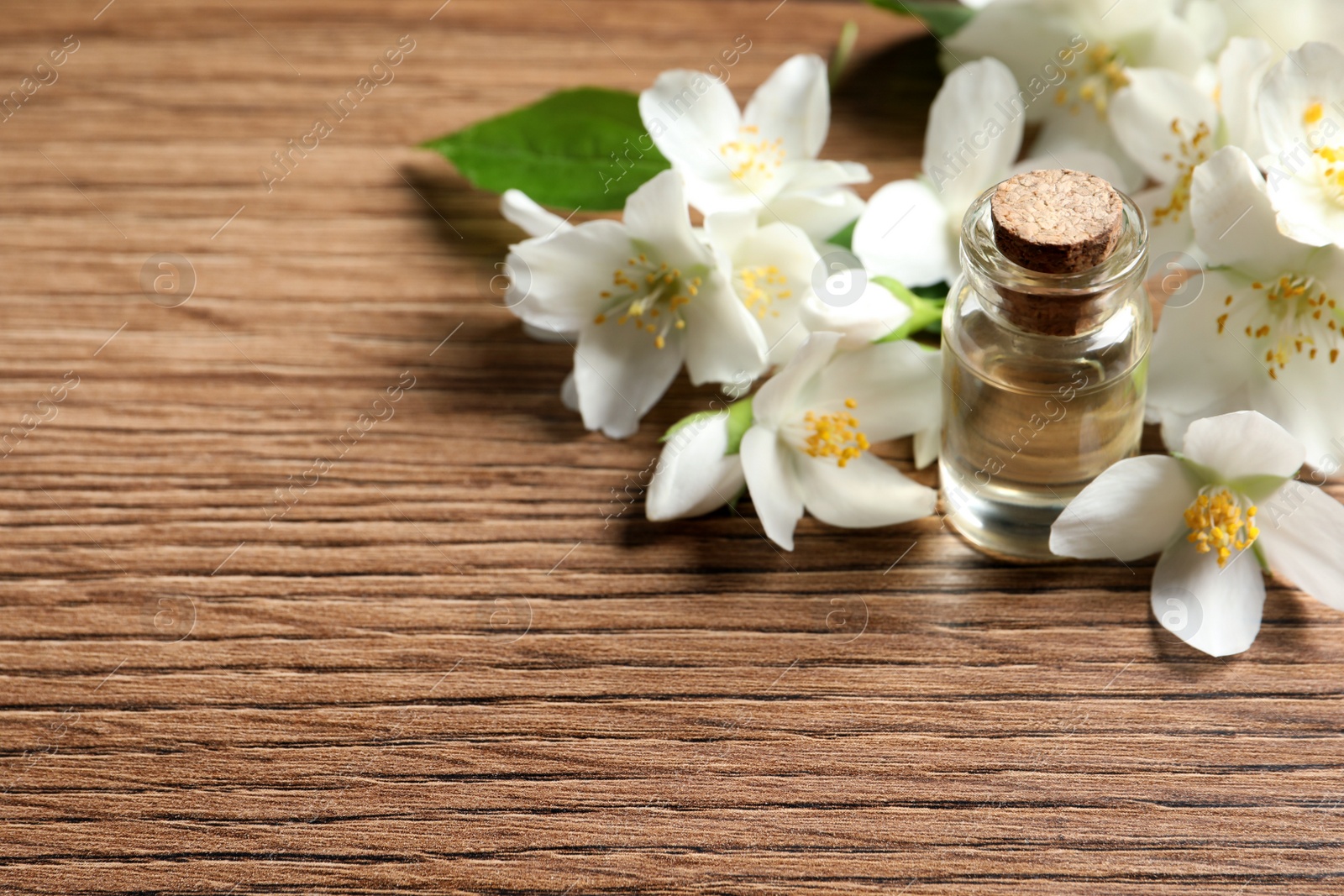 Photo of Jasmine essential oil and fresh flowers on wooden table, space for text