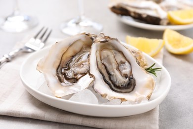 Photo of Fresh oysters with rosemary and ice on grey table, closeup
