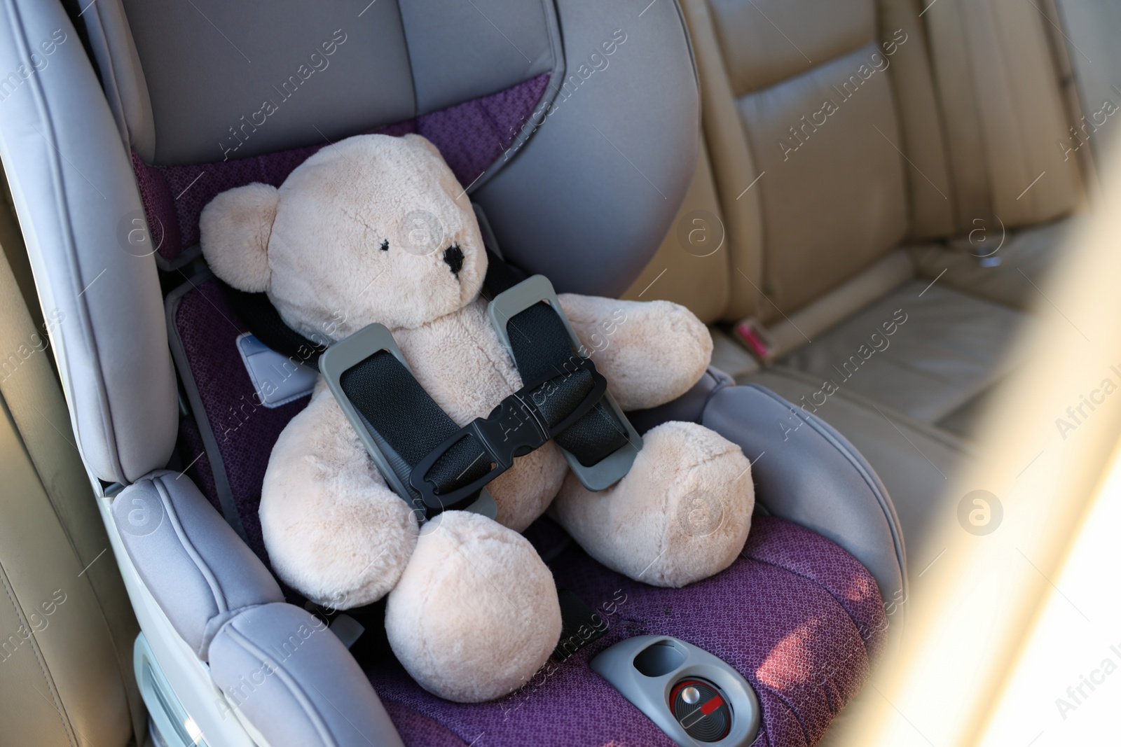 Photo of Teddy bear in child safety seat inside car