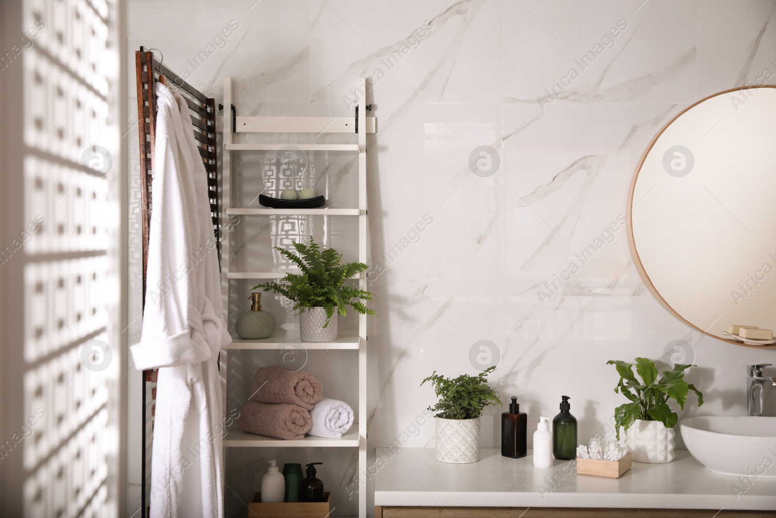 Photo of Beautiful green ferns and toiletries in bathroom