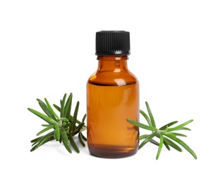 Sprigs of fresh rosemary and essential oil on white background