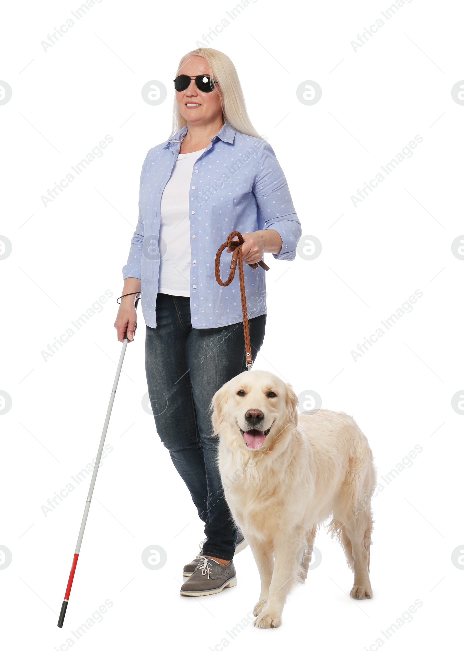 Photo of Blind person with long cane and guide dog on white background