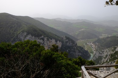 Picturesque view of green forest in mountains