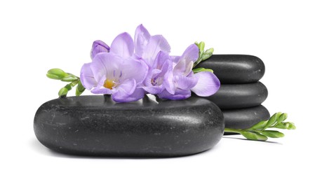 Photo of Beautiful violet freesia flowers and stones isolated on white