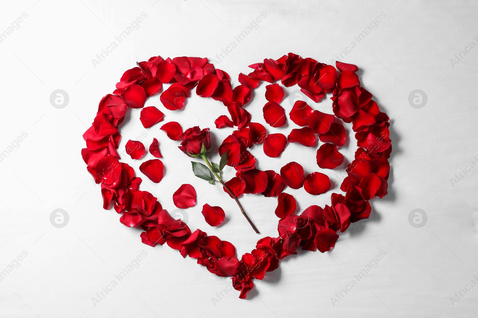 Photo of Honeymoon. Heart made with rose and petals on white background, top view