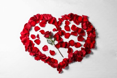 Photo of Honeymoon. Heart made with rose and petals on white background, top view