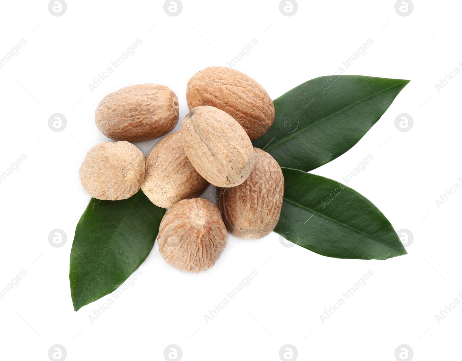 Photo of Nutmeg seeds with green leaves on white background, top view