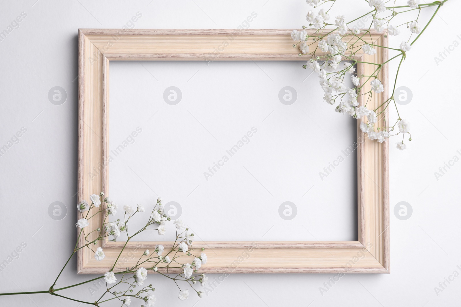 Photo of Wooden frame with beautiful gypsophila flowers on white background, top view. Space for text