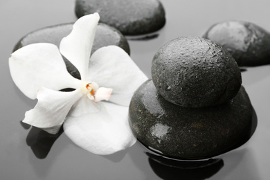 Spa stones and orchid flower in water. Zen lifestyle