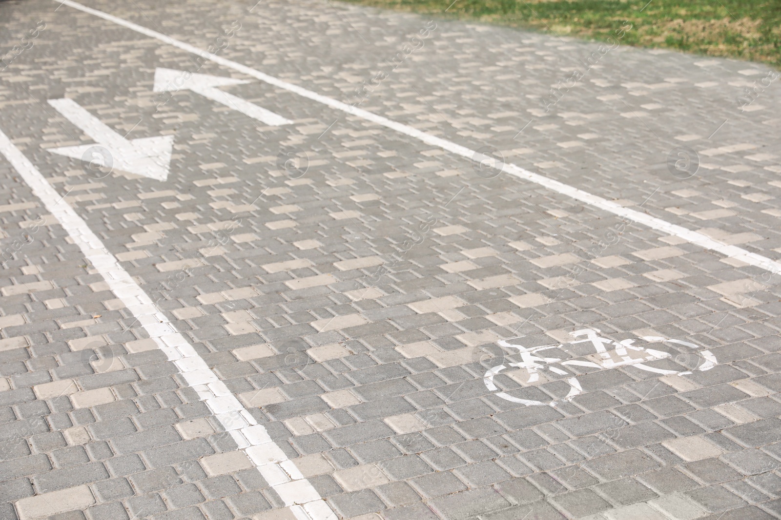Photo of Bicycle lane with marking on sunny day