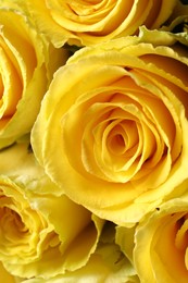 Photo of Beautiful bouquet of yellow roses as background, closeup