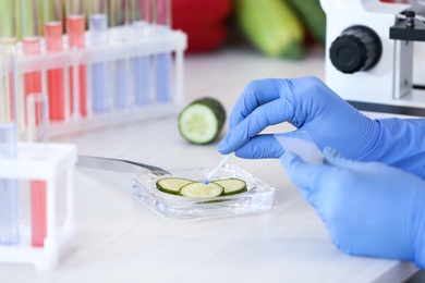 Photo of Scientist proceeding quality control in laboratory, closeup. Fresh cucumber analysis