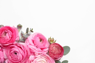 Beautiful ranunculus flowers on white background, top view