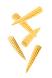 Image of Tasty baby corn cobs flying on white background