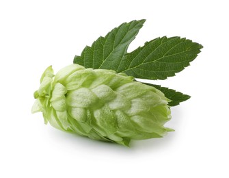 Photo of Fresh green hop with leaf on white background